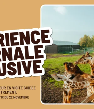 Expérience Soigneur