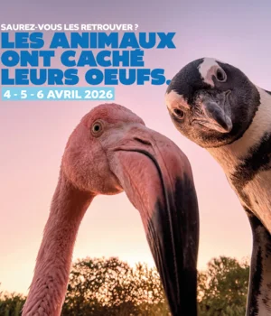 Pâques Sauvage : Cette année, ce ne sont pas les cloches qui sont passées…