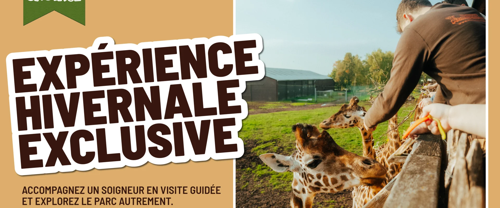 Expérience Soigneur