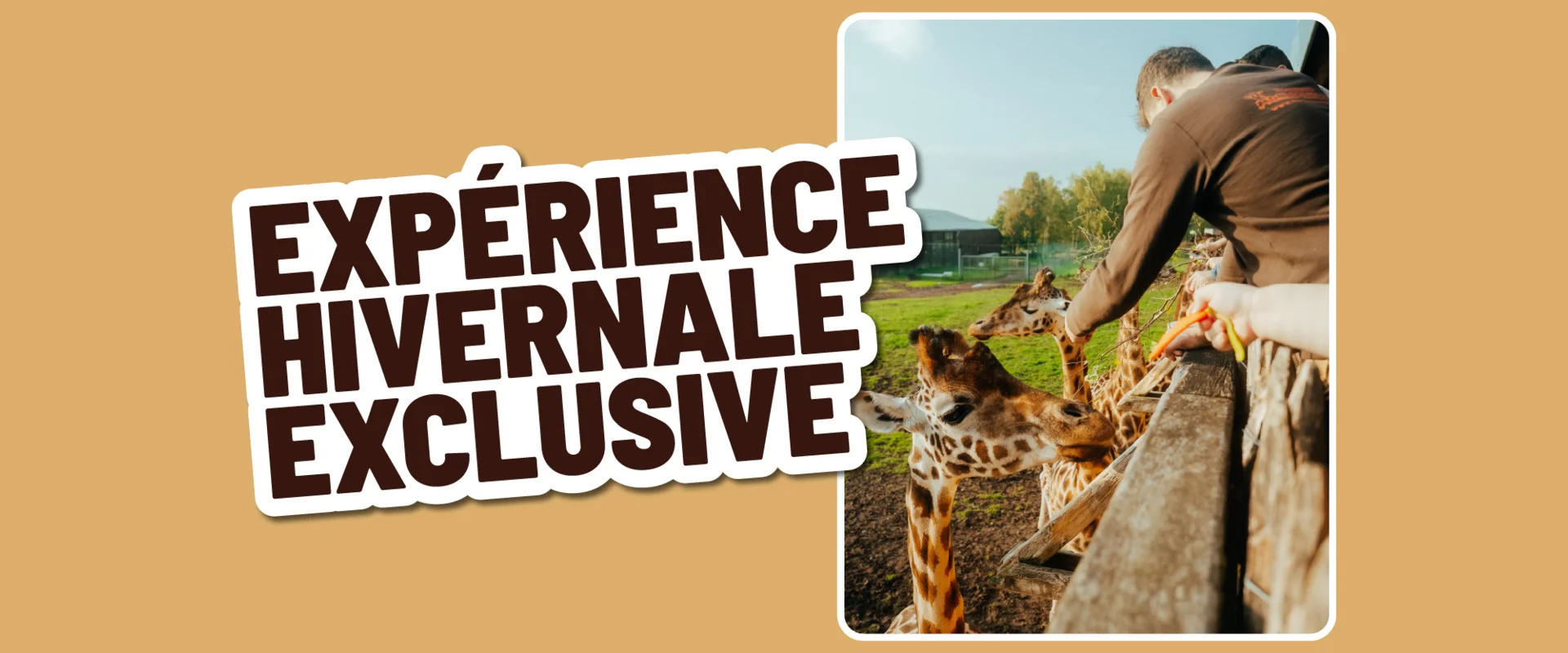 Expérience Soigneur