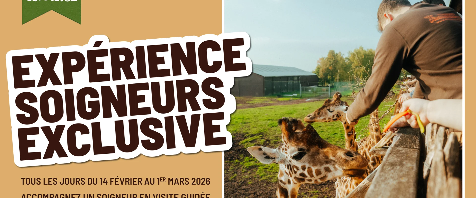 Expérience Soigneur