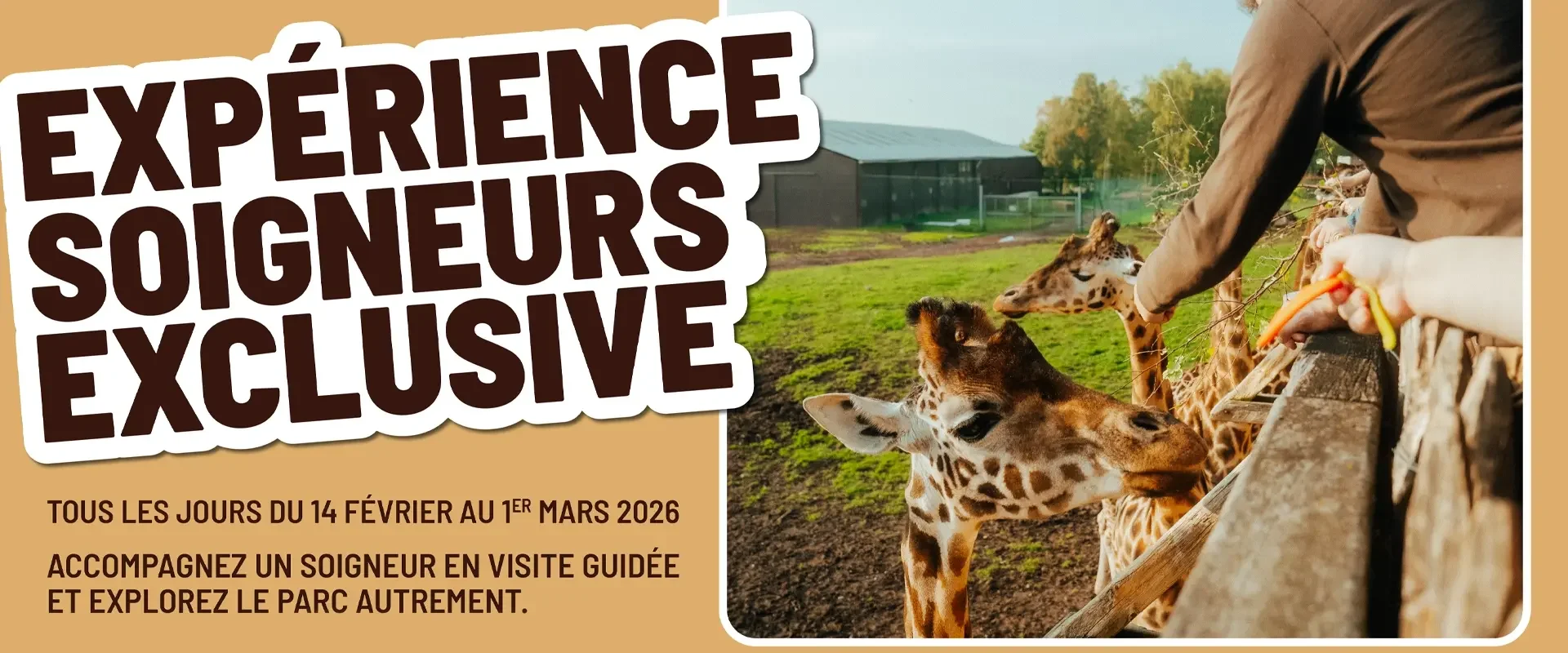 Expérience Soigneur