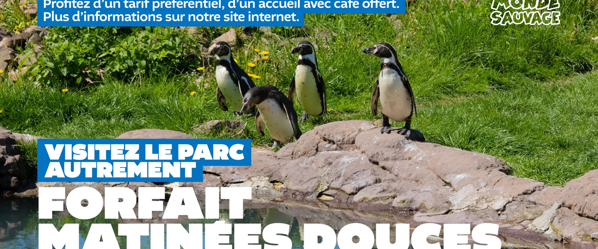 Matinée Douce