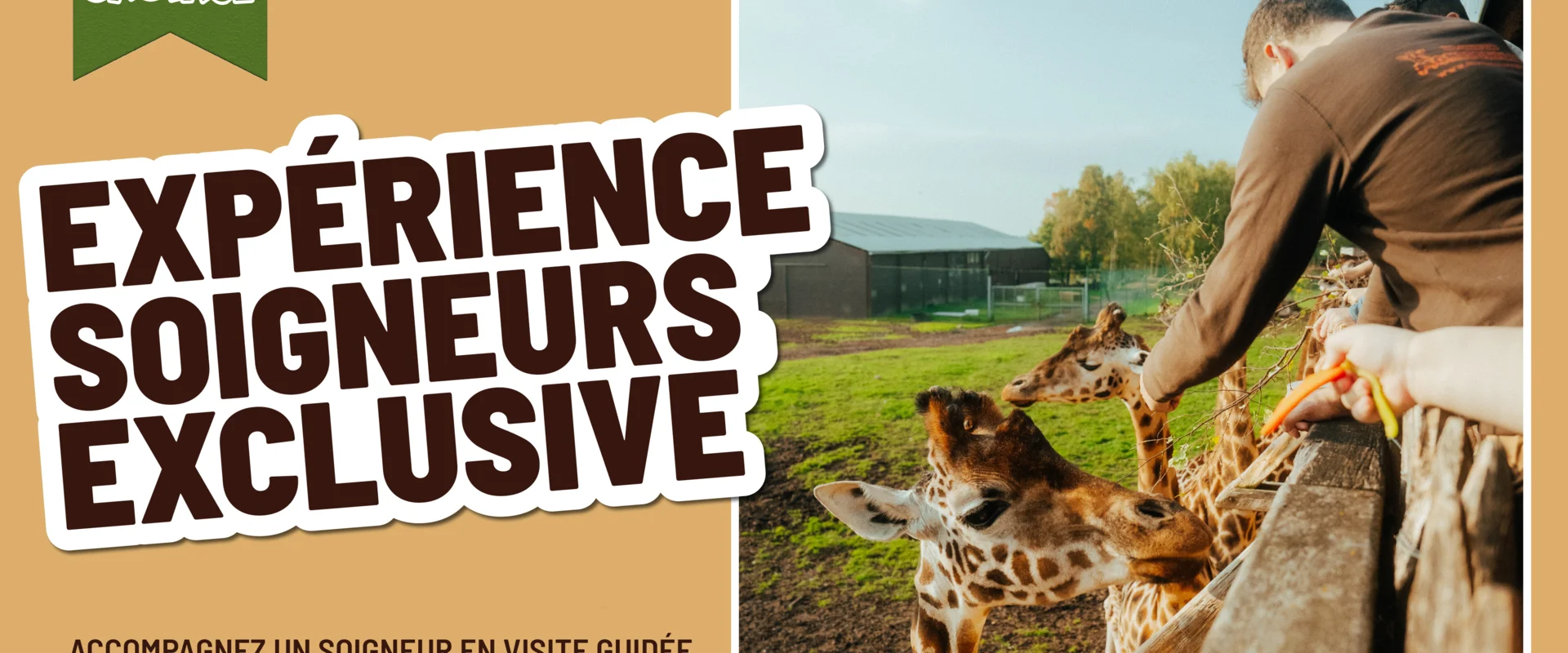 Expérience Soigneur (1h)