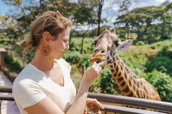 Soirées & Restauration