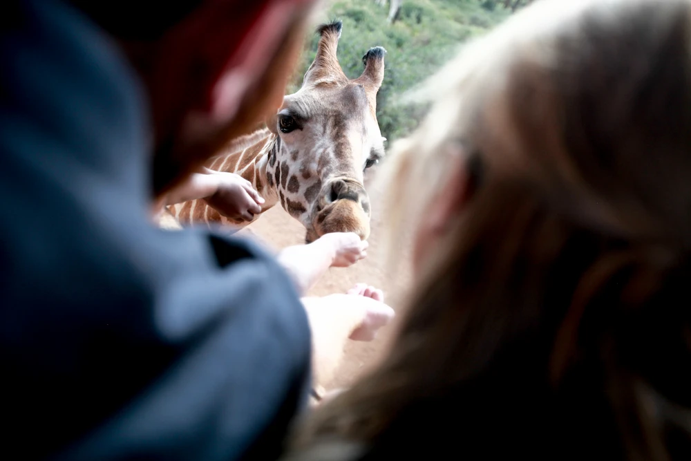 Une mission en 3 dimensions