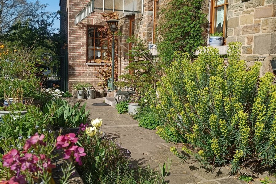 Le Jardin des Miroirs (Esneux)