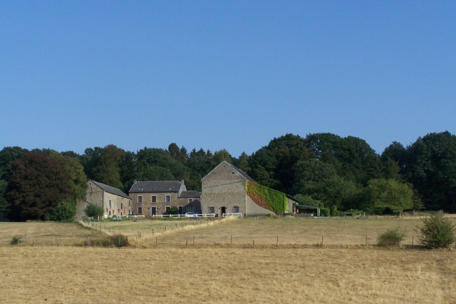 La Sart-Mère (Gesves, Namur)