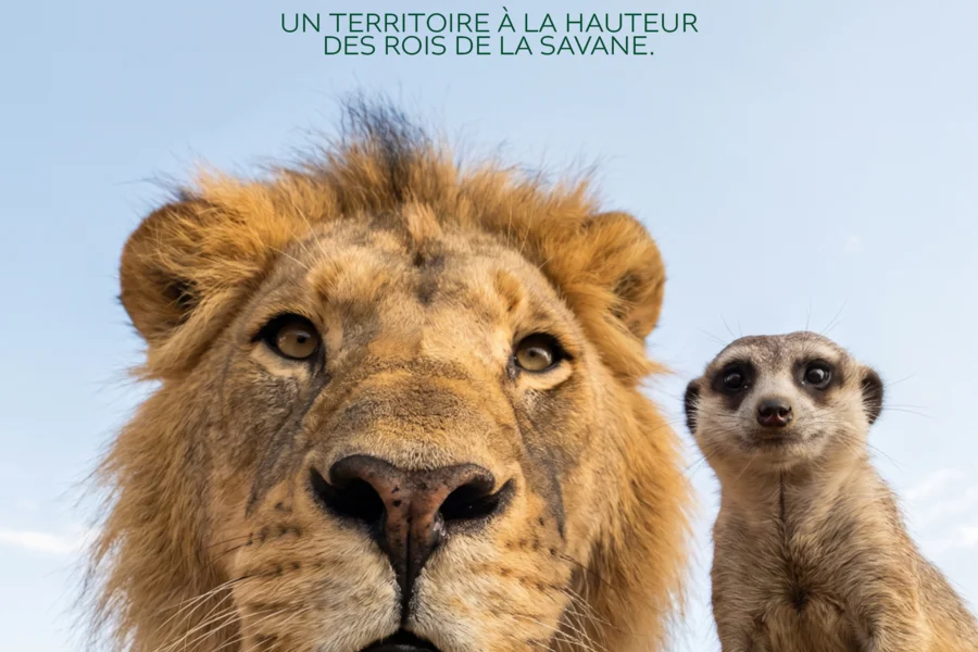 Deux nouveaux espaces à découvrir !