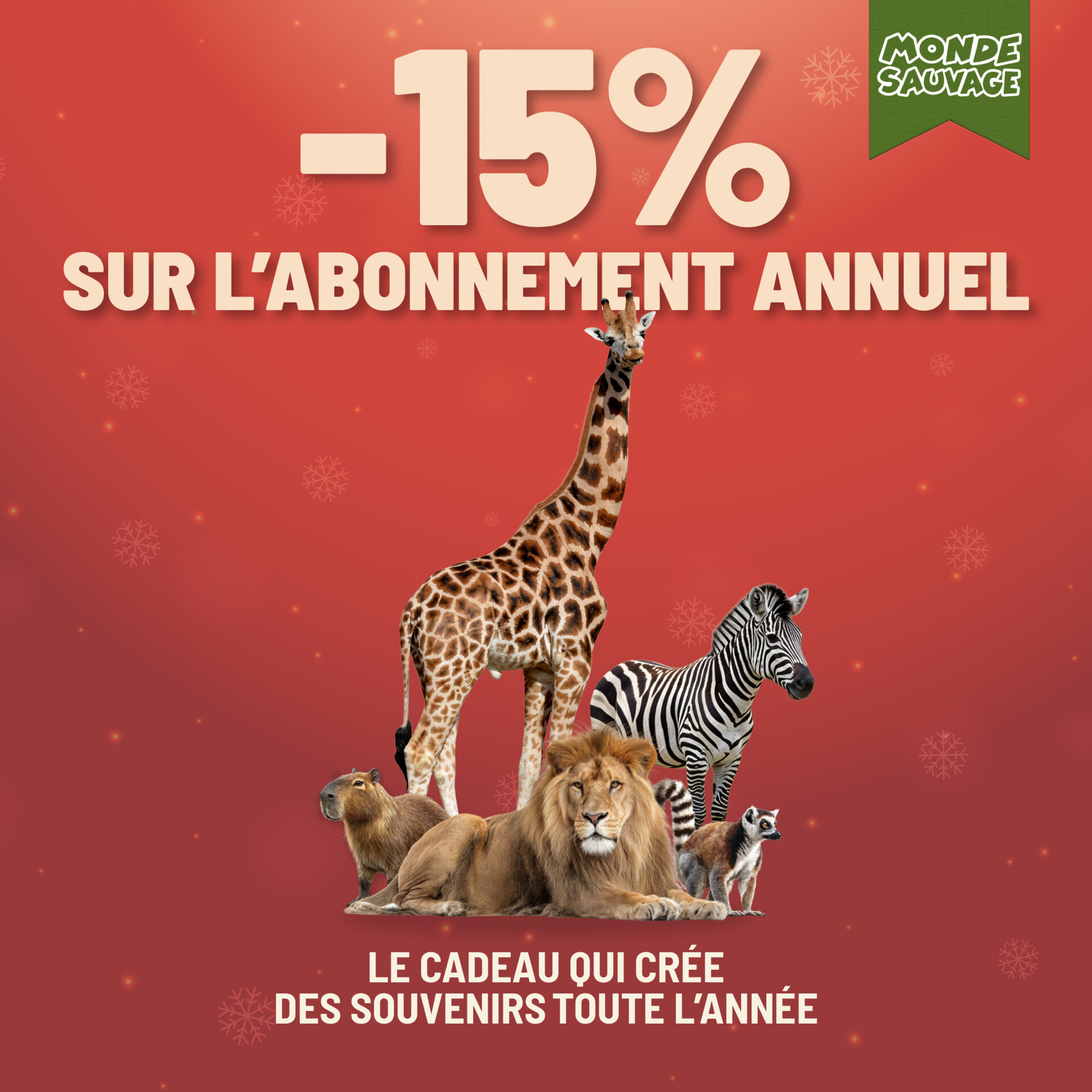 Ca y est, nos nouveaux abonnements sont là ! Et avec du changement !