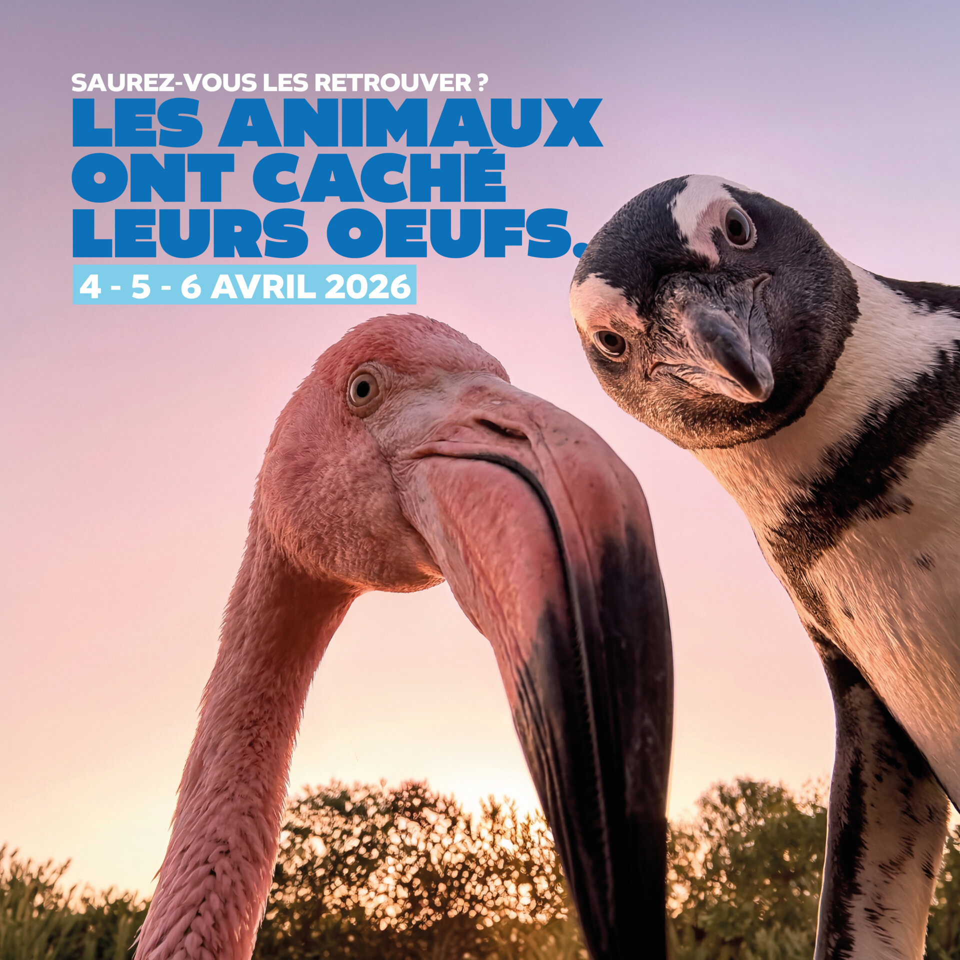 Cette année ce ne sont pas les cloches qui sont passées... mais les animaux du parc !