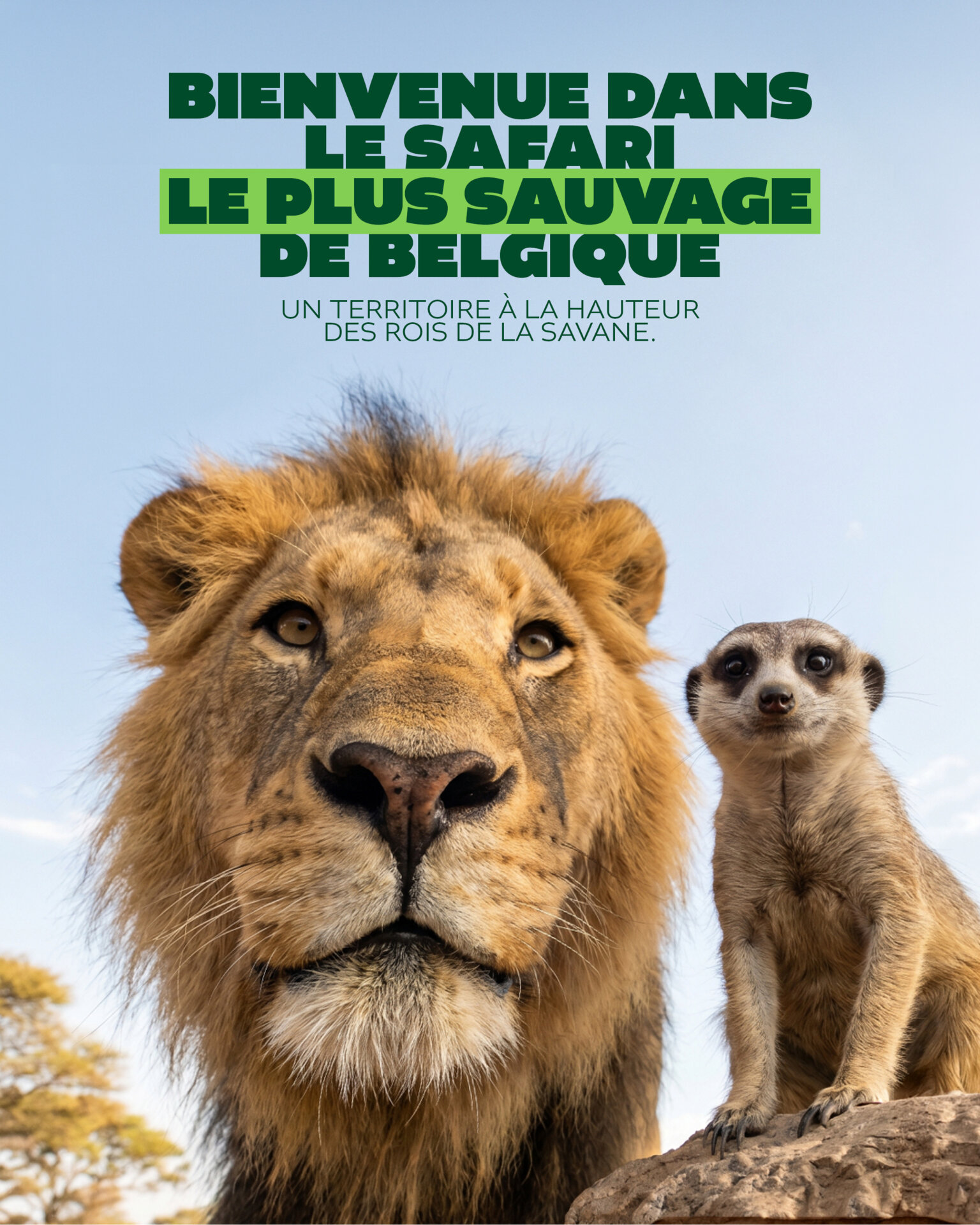 Deux nouveaux espaces à découvrir !