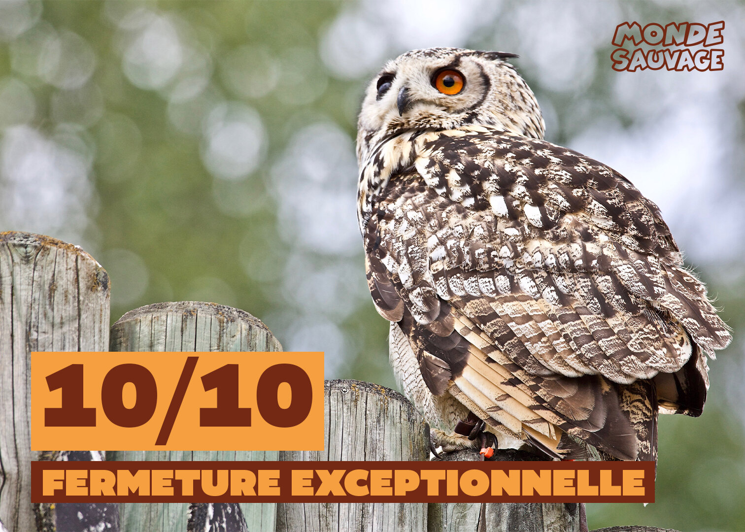 Fermeture exceptionnelle le 10 octobre 2026