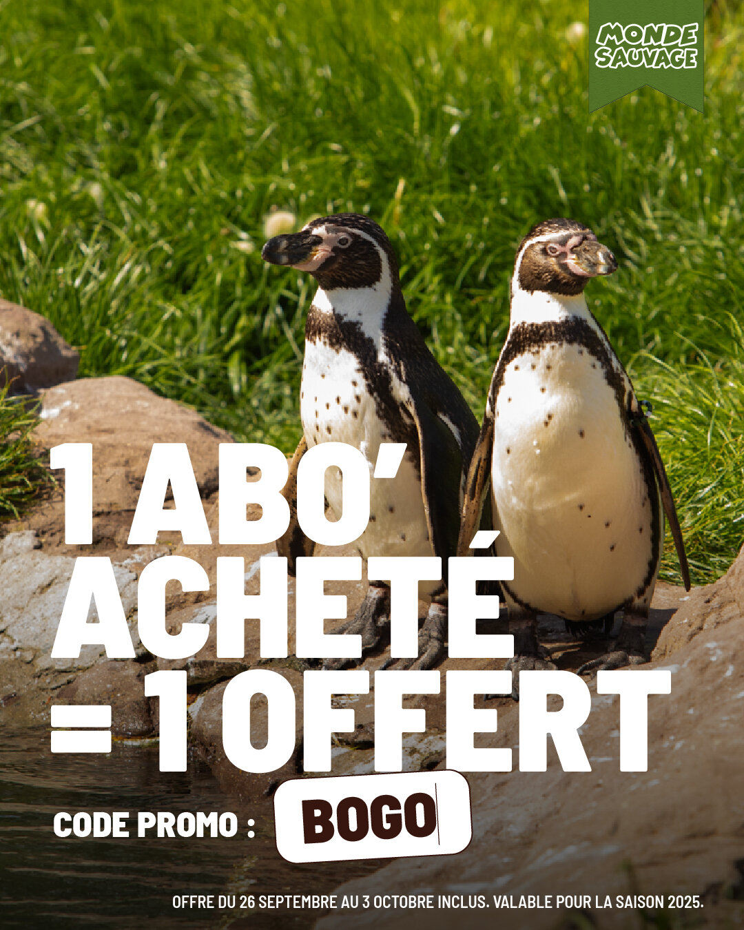 Une offre très spéciale pour l'automne...