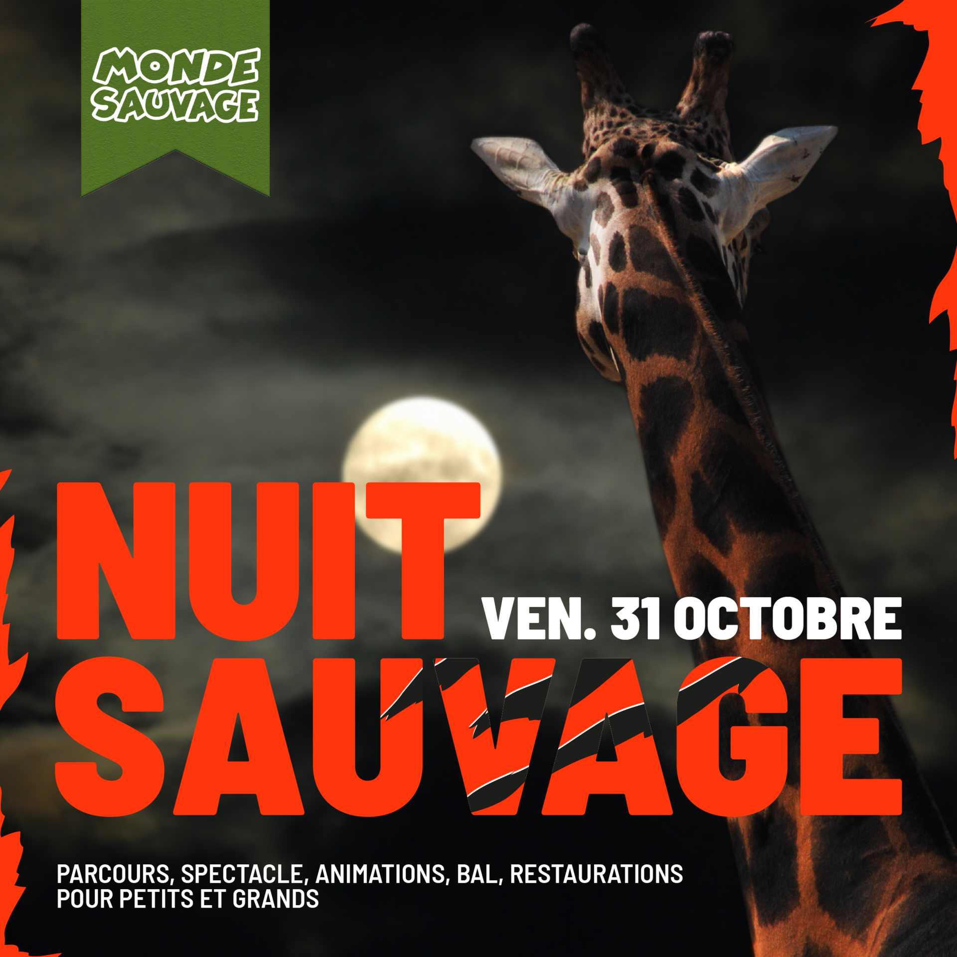 NUIT SAUVAGE : HALLOWEEN AU MONDE SAUVAGE